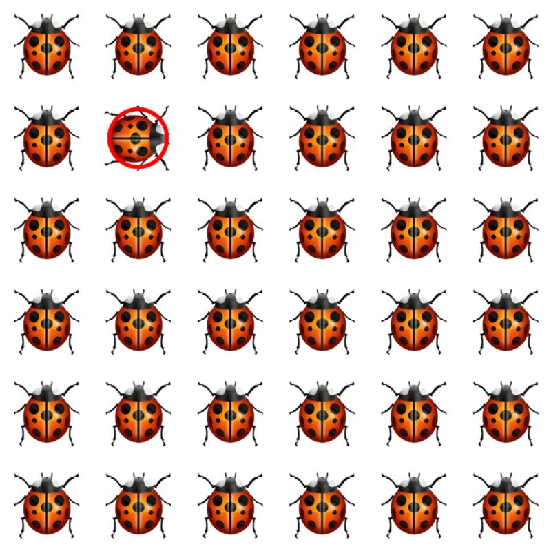 Emoji Quiz 2 solution