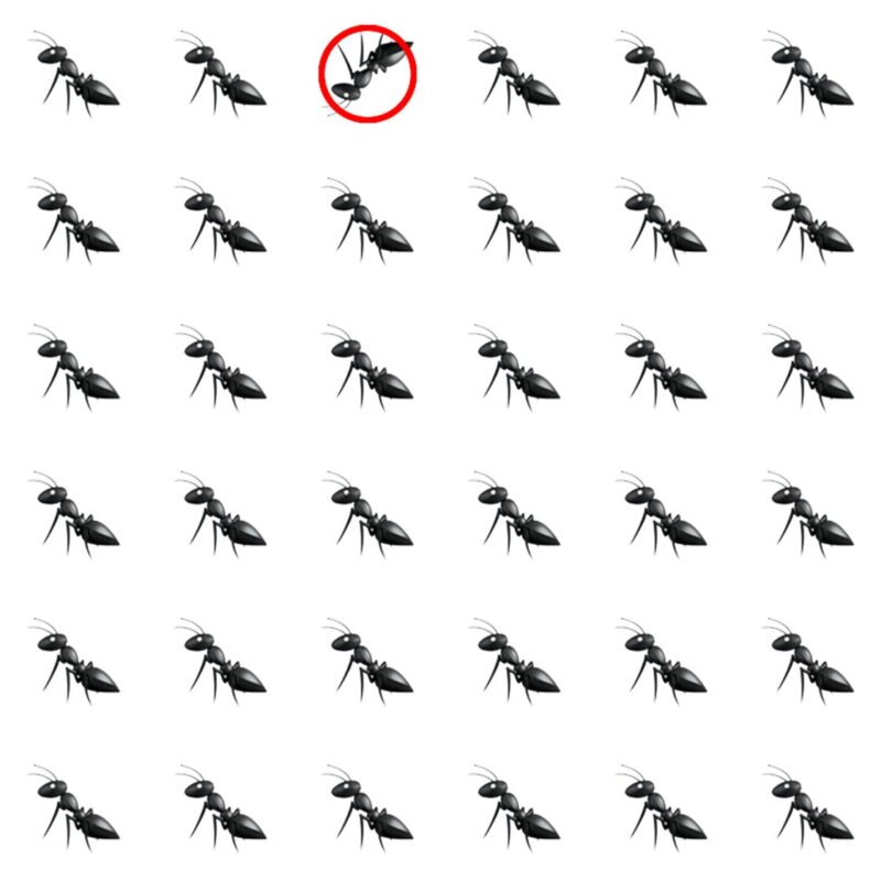 Emoji Quiz 2 solution