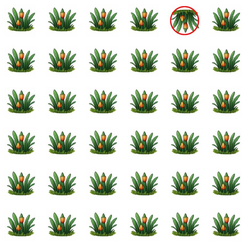 Emoji Quiz 2 solution