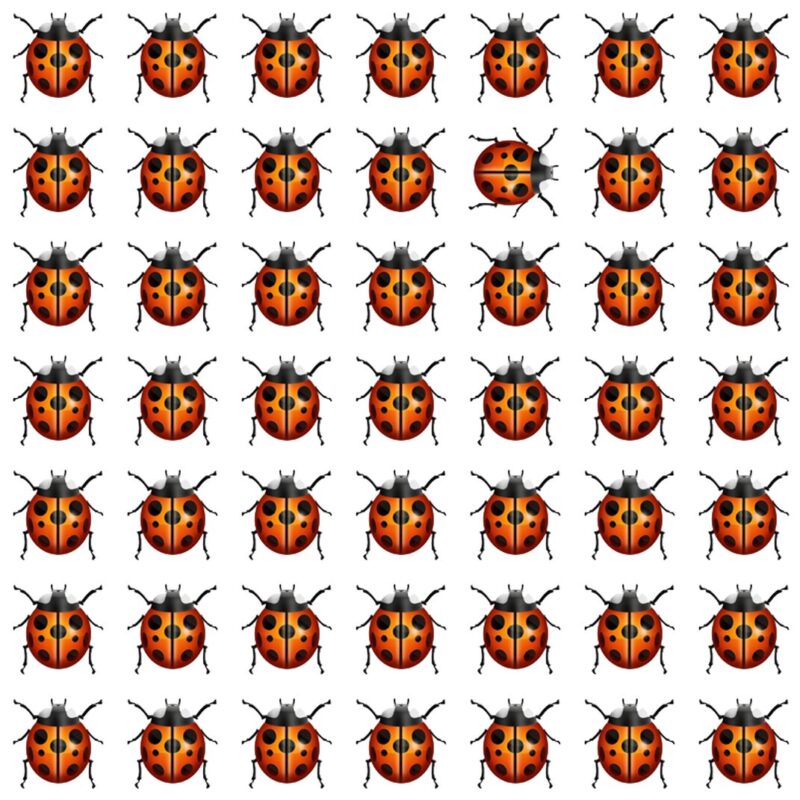 Emoji Quiz 3