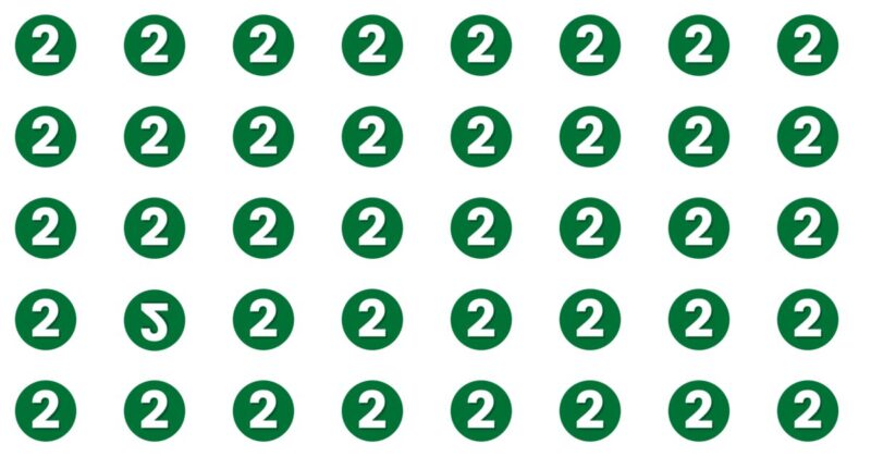 No One Can Score A Perfect Score On This Odd One Out Test Without Cheating