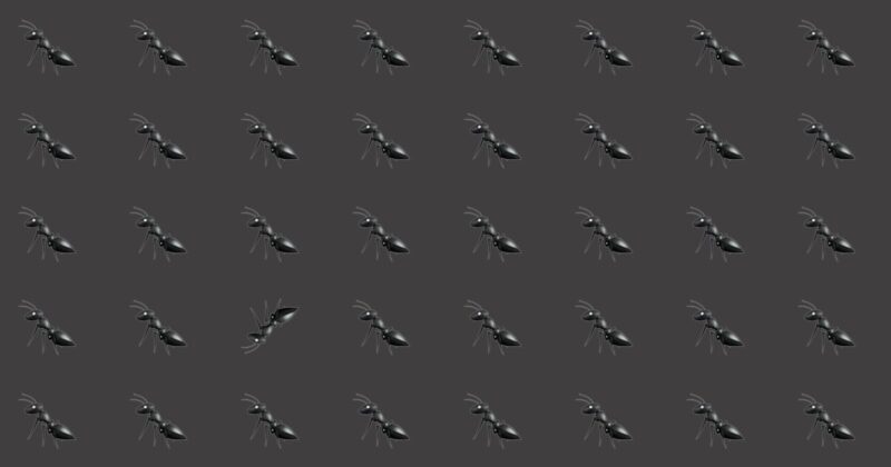 These Brilliantly Creative Odd One Out Visual Challenges Will Test Your Eyesight!