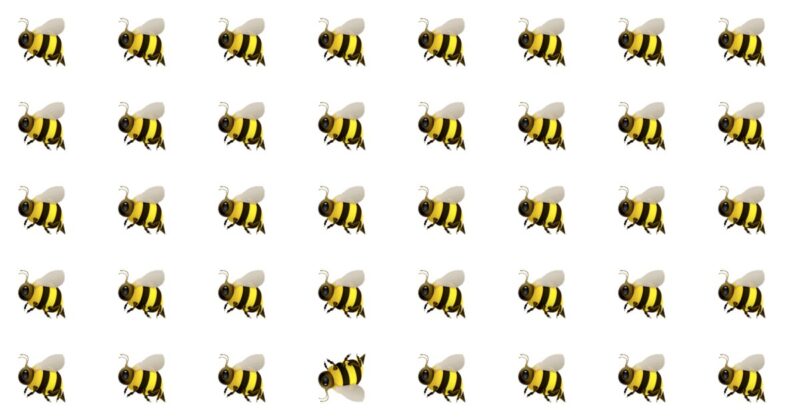 Odd One Puzzle – It’s Harder Than You Think!