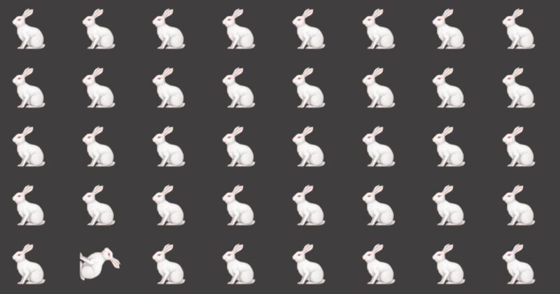 Only People With A Seriously High IQ Will Be Able To Best This Odd One Out Puzzle! How About You?