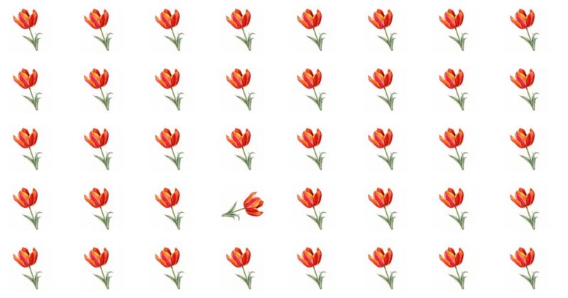 If You Can See The Odd One Out Within 10 Seconds, You Have An Unusually Sharp Brain. Want To Try Your Luck?