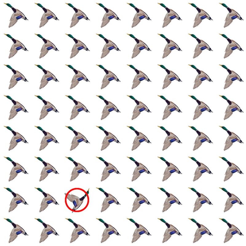 Emoji Quiz 4 solution
